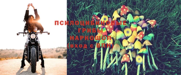 ПСИЛОЦИБИНОВЫЕ ГРИБЫ Коряжма