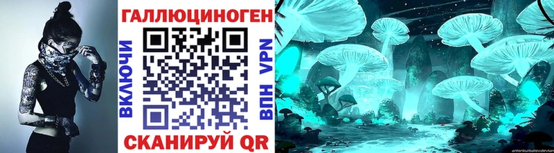 Купить  Зубцов  Псилоцибиновые грибы Magic Shrooms 